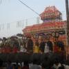 Elephants facing temple during Pooram
