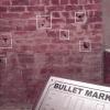 Bullet marks on the wall of Jallianwala Bagh