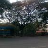 Bus Stop Near Mekri Circle Bangalore