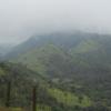 Nature of Brahmagiri hill at coorg