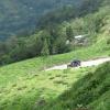 Darjeeling and Sikkim Border Road in Darjeeling
