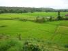 Green Land in Devarayi