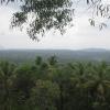 Idukki Forest in Kerala