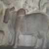 Rock Carvings in Mahabalipuram