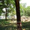 Timber yard of Forest Department , Kotdwara