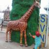 Boy trying to touch giraffe