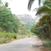 Straight Road to Mathoor Thottipalam in Nagercoil