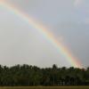 Rainbow seen in Nagercoil