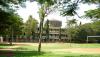 Greenery inside Sarvodya College Campus