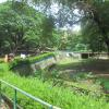 Inside View of Zoo, Thiruvananthapuram