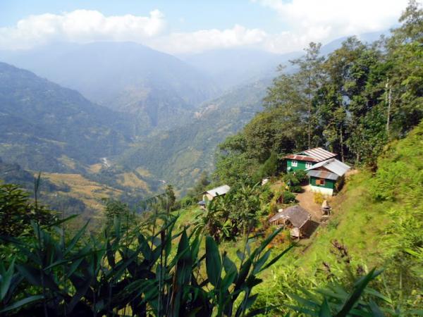 Houses on the Hill at Darjeeling | Veethi