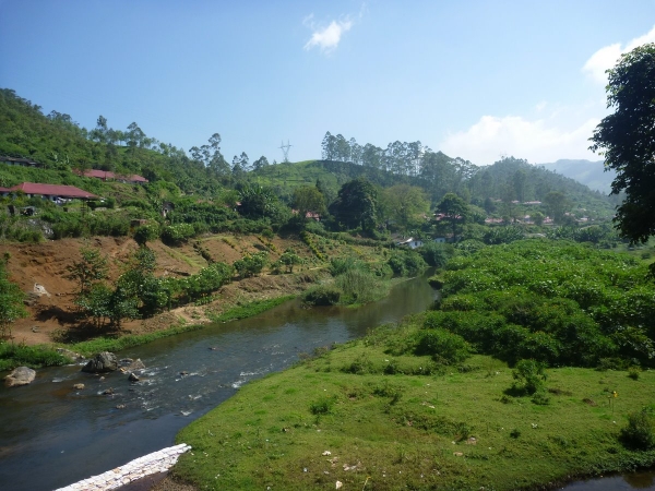 River at Munnar | Veethi