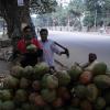 Coconut Store in Bangalore