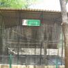 Cage for White crested Cockatoo in Vandalur-Chennai...