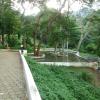 Greenery in Courtallam Ecopark