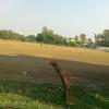Dashehara Maidan Ground in Indore
