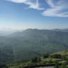 Misty Munnar