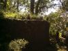 Thick Topiary At Yercaud Botanical Garden